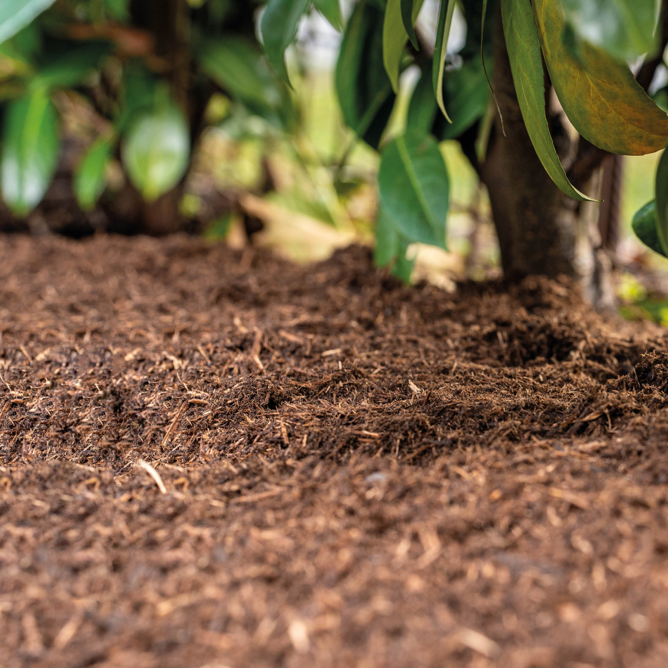 Mulchen mit Gartenfaser - Terra Alpin